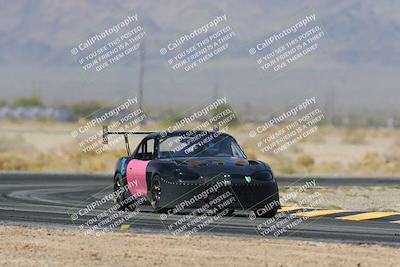 media/Mar-30-2025-Pro Autosports (Sun) [[34ff8f16e0]]/2-Blue-White Group/Main Race/